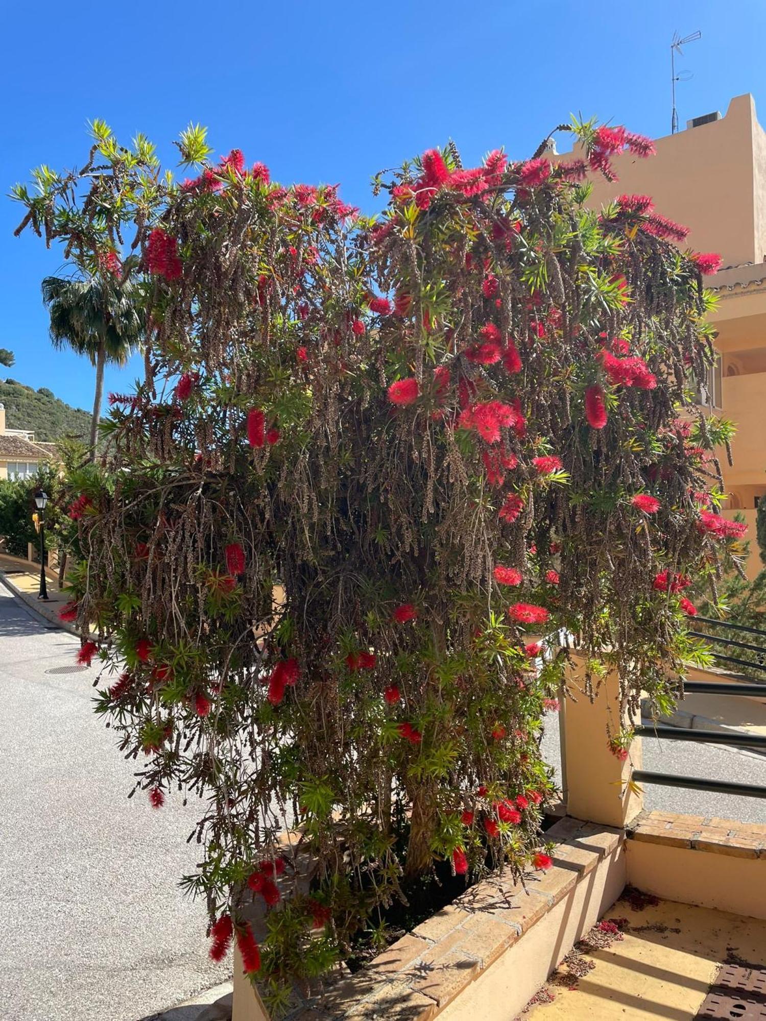 Santa Maria Village, Elviria, מארבלה מראה חיצוני תמונה